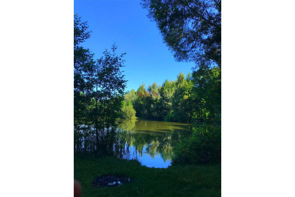 grodziski, Grodzisk Mazowiecki, Książenice, Duża działka ze stawem