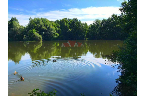grodziski, Grodzisk Mazowiecki, Książenice, Duża działka ze stawem