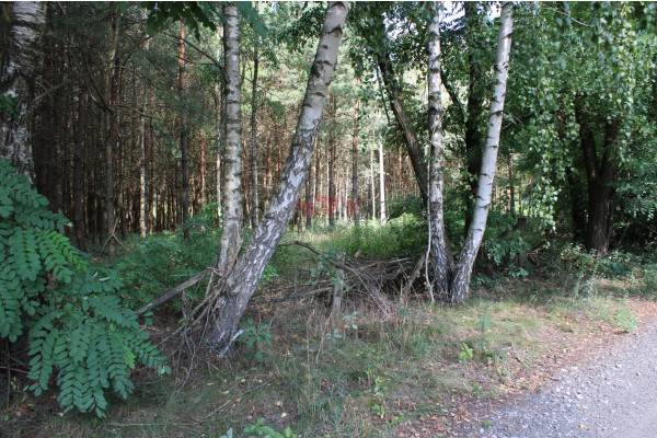 żyrardowski, Radziejowice, Adamów-Parcel, Łęgowa, Działka budowlana Adamów- Parcel