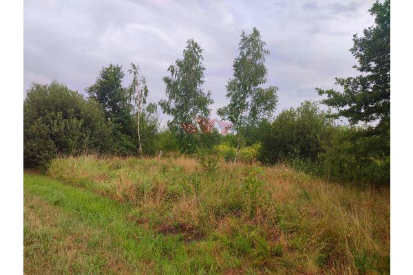 grodziski, Jaktorów, Budy Zosine, Generała Skokowskiego, Działka rolno-budowlana z mo żliwością podziału