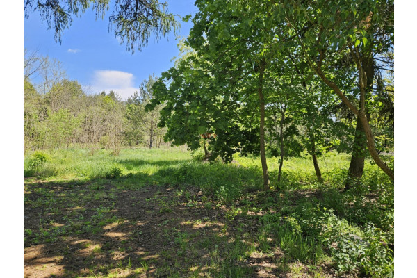 Wycinki Osowskie, Żabia Wola, Działka na sprzedaż