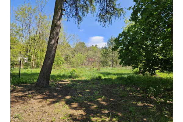 grodziski, Żabia Wola, Wycinki Osowskie, Biedronki, Działka inwestycyjna w Wycinkach Osowskich