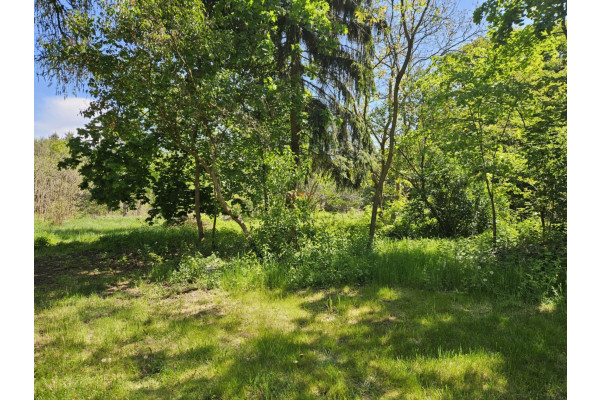 grodziski, Żabia Wola, Wycinki Osowskie, Biedronki, Działka inwestycyjna w Wycinkach Osowskich