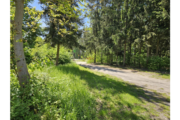 grodziski, Żabia Wola, Wycinki Osowskie, Biedronki, Działka inwestycyjna w Wycinkach Osowskich
