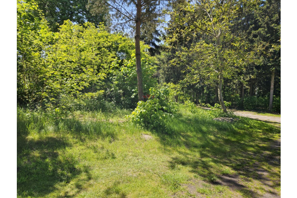 grodziski, Żabia Wola, Wycinki Osowskie, Biedronki, Działka inwestycyjna w Wycinkach Osowskich