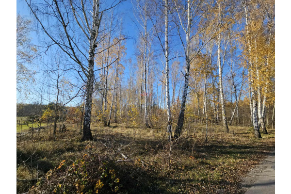 mazowieckie, grodziski, Jaktorów, Jaktorów-Kolonia, Generała Kleberga, Działka na sprzedaż ulica Kleberga