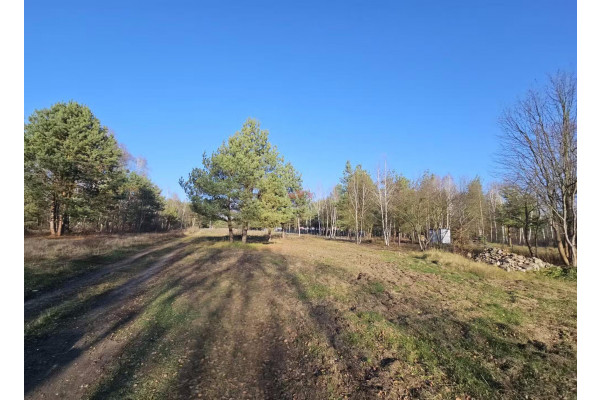 mazowieckie, grodziski, Żabia Wola, Grzegorzewice, Bajeczna, Działka budowlana w Grzegorzewicach