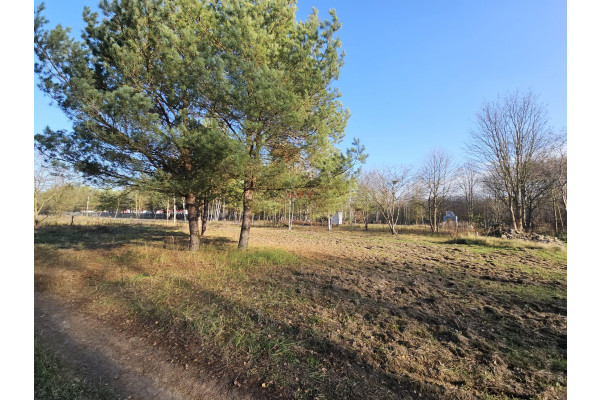 grodziski, Żabia Wola, Grzegorzewice, Bajeczna, Działka budowlana w Grzegorzewicach