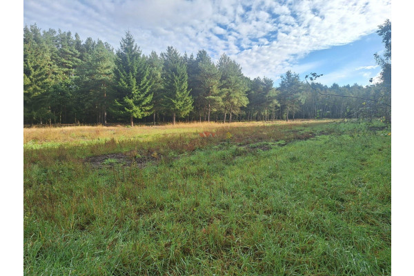 grodziski, Grodzisk Mazowiecki, Adamowizna, Działka budowlana 1200m2 w atrakcyjnej lokalizacji